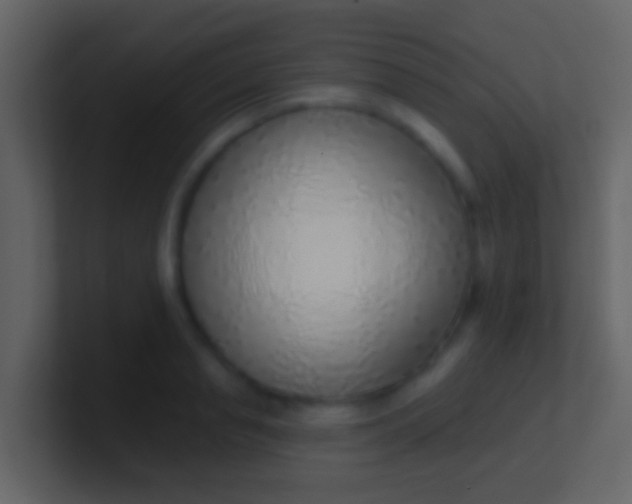 X0000100910845200807081122