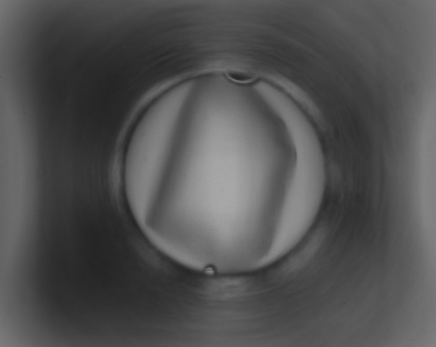 X0000100910846200807081122