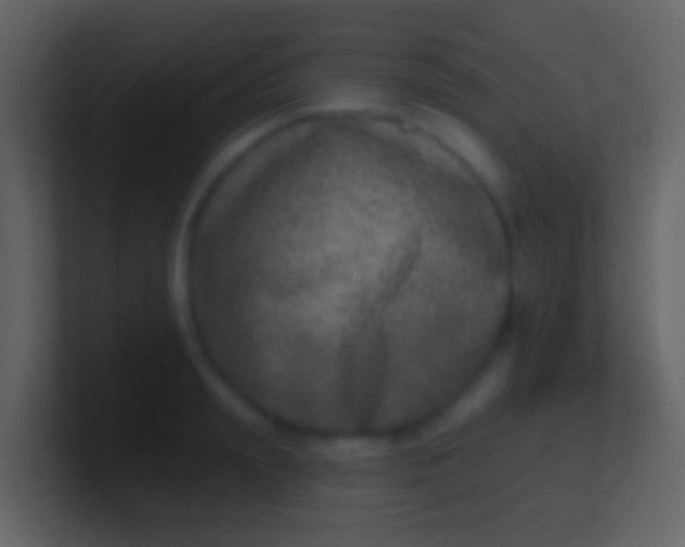 X0000100910847200807081122