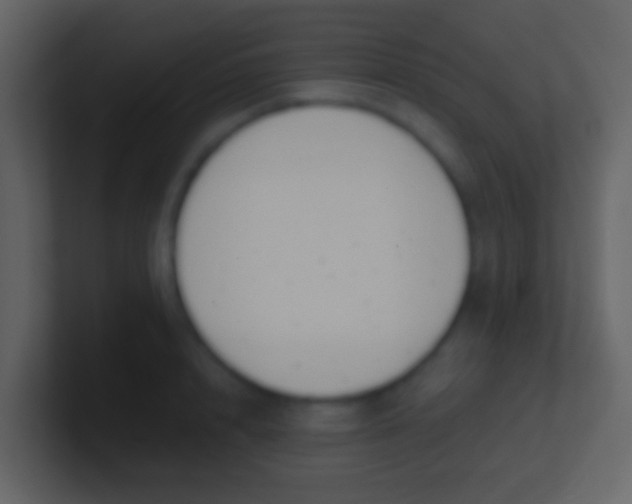 X0000100910848200807081122