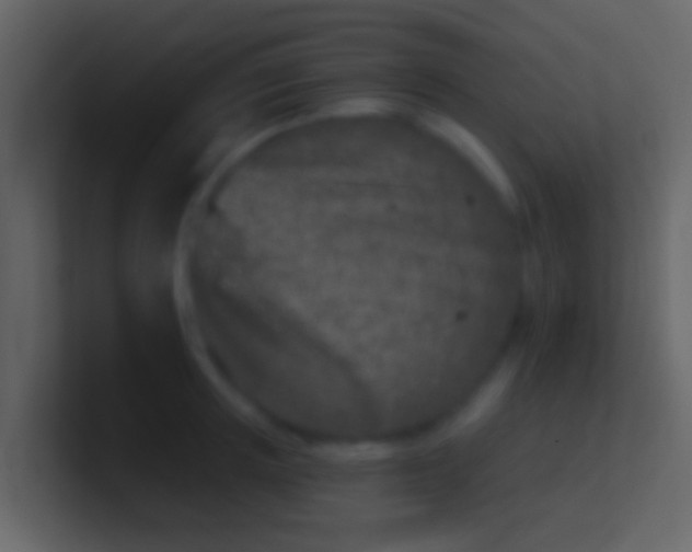 X0000100910851200807081123