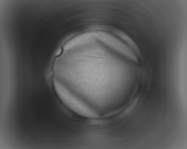X0000100910852200807081123