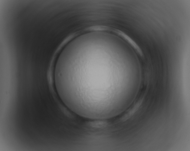 X0000100910853200807081123