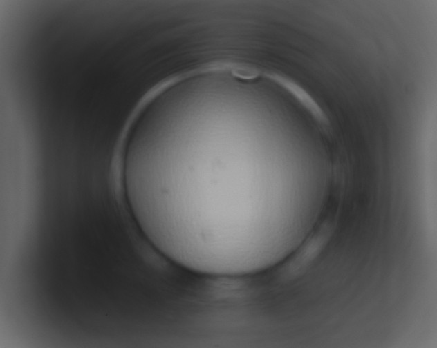 X0000100910854200807081123