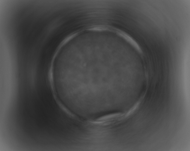 X0000100910855200807081123