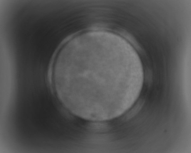 X0000100910856200807081123