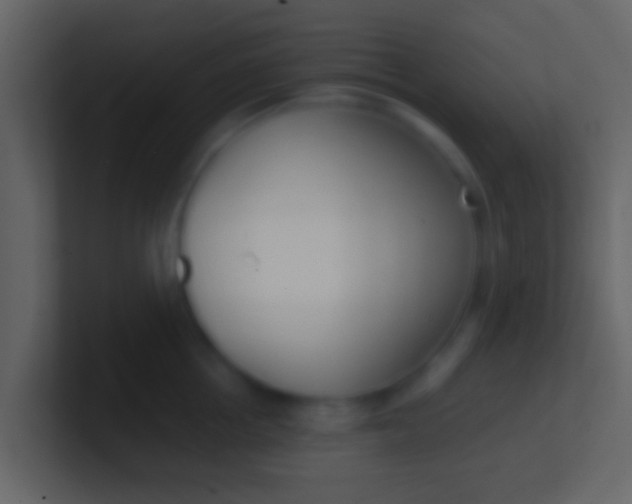 X0000100910858200807081123