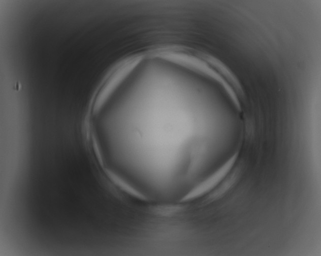 X0000100910860200807081123
