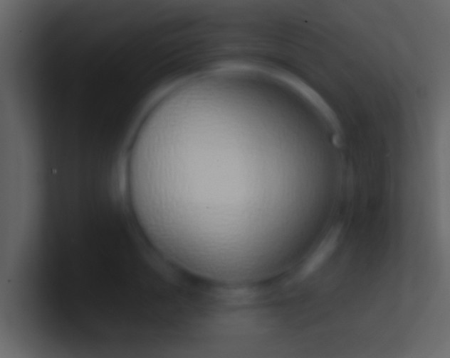 X0000100910862200807081123