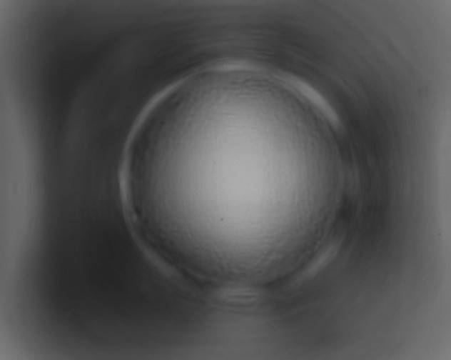X0000100910863200807081123