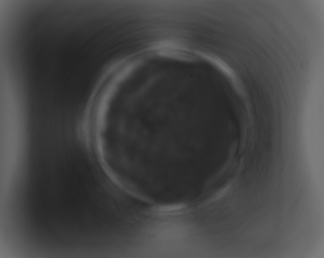 X0000100910864200807081123