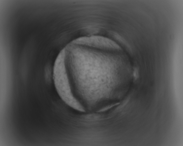 X0000100910867200807081122