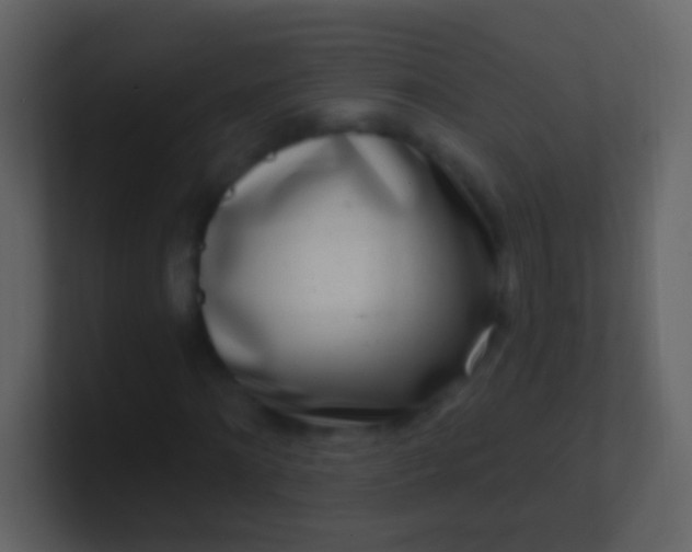 X0000100910868200807081122