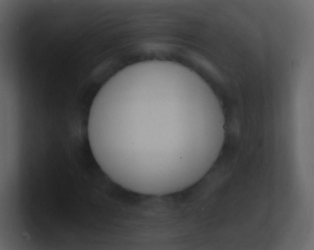 X0000100910869200807081122