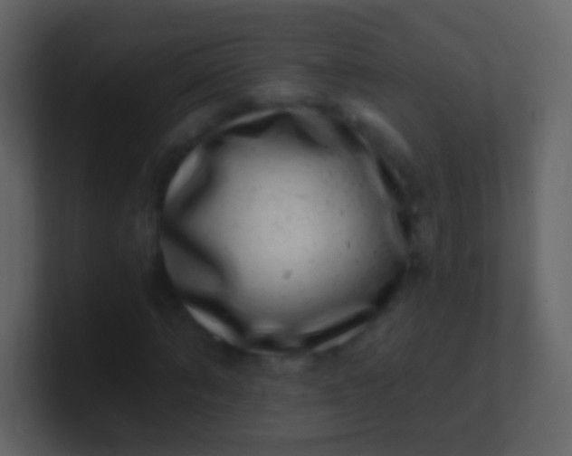 X0000100910870200807081122