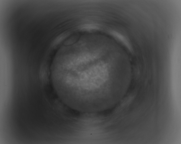 X0000100910871200807081122