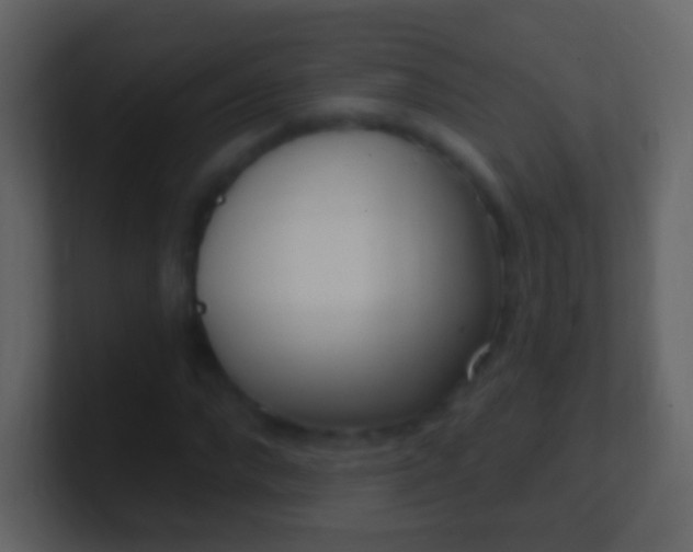 X0000100910872200807081122