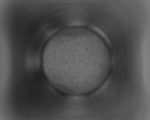X0000100910874200807081122