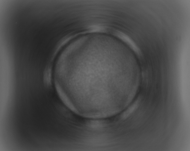 X0000100910875200807081122