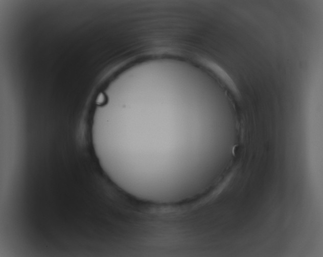 X0000100910876200807081122