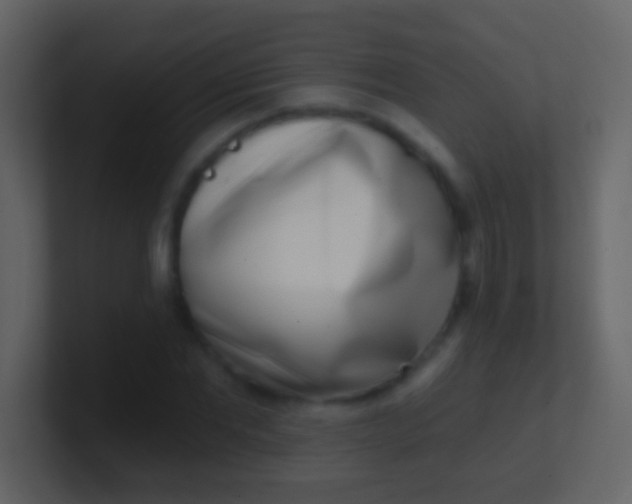 X0000100910877200807081122