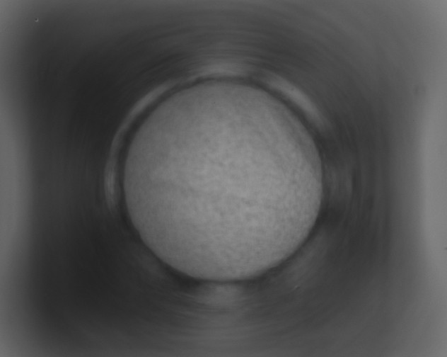 X0000100910878200807081122