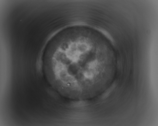 X0000100910879200807081122