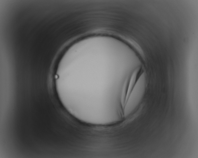 X0000100910880200807081122