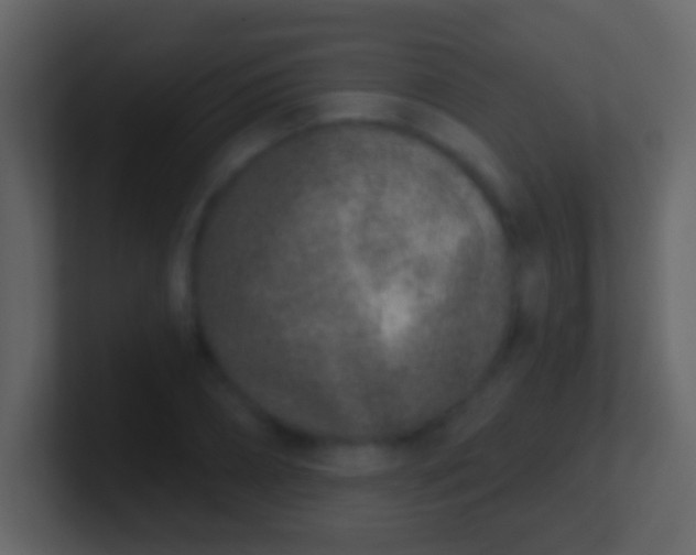 X0000100910882200807081122