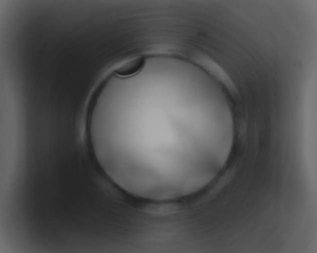 X0000100910884200807081122