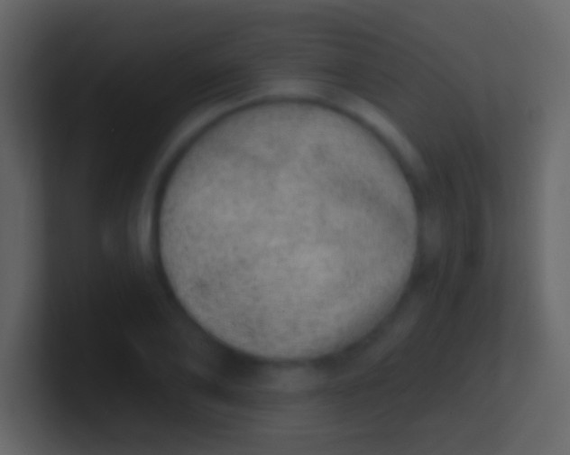 X0000100910886200807081122