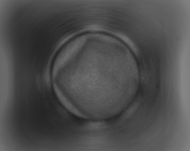X0000100910887200807081122