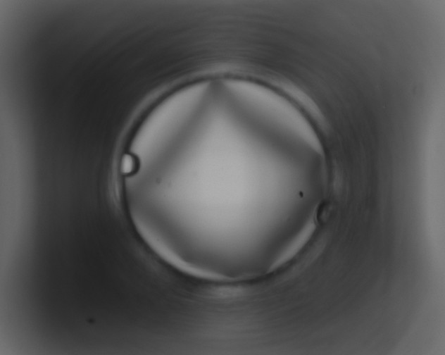 X0000100910888200807081122