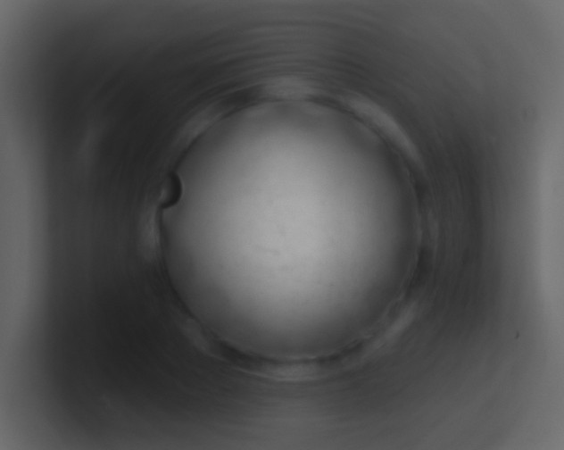 X0000100910889200807081122