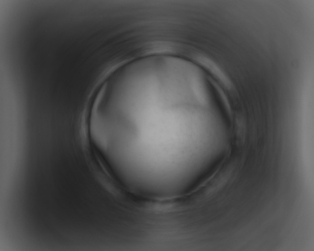 X0000100910890200807081122