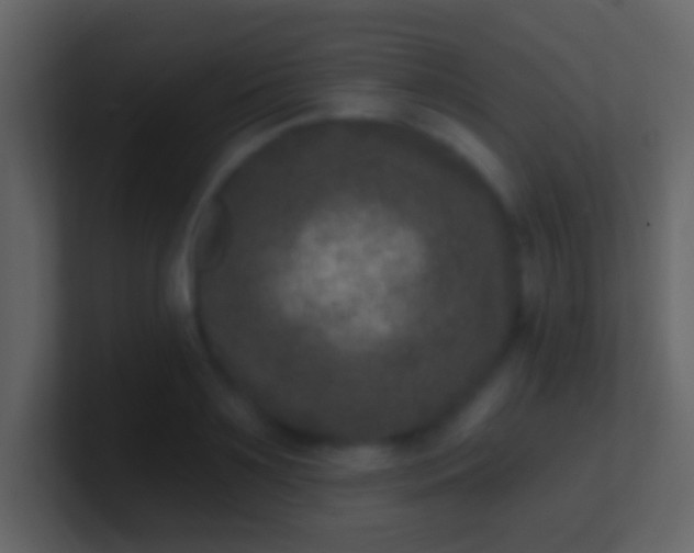 X0000100910891200807081122