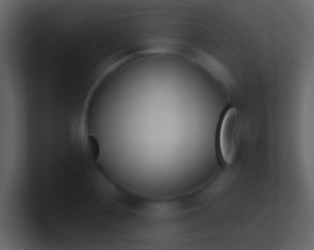 X0000100910892200807081122