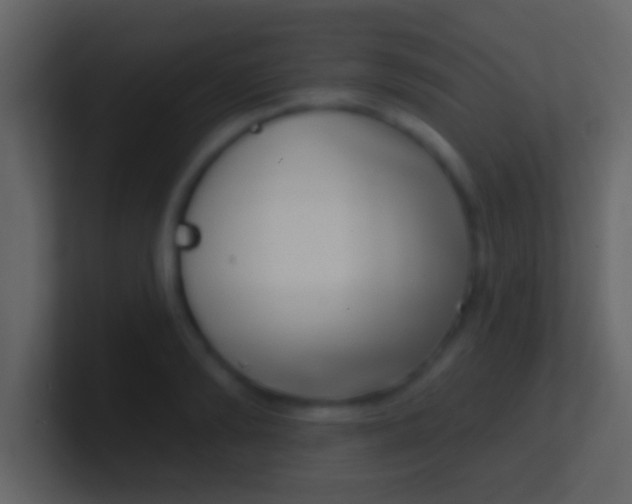 X0000100910894200807081122
