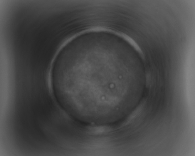 X0000100910895200807081122