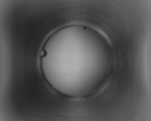 X0000100910896200807081122