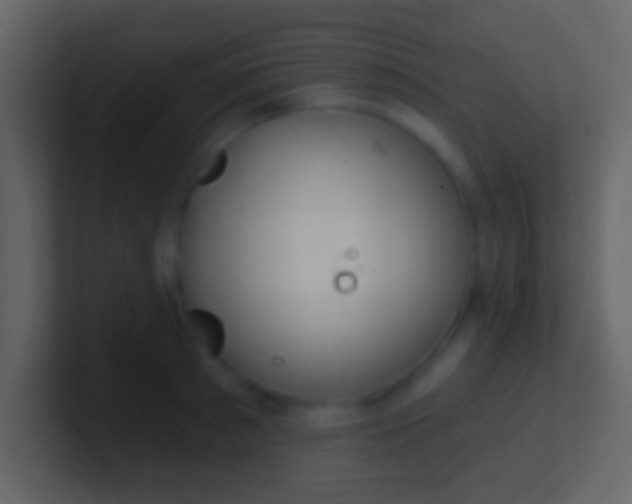 X0000100910897200807081122