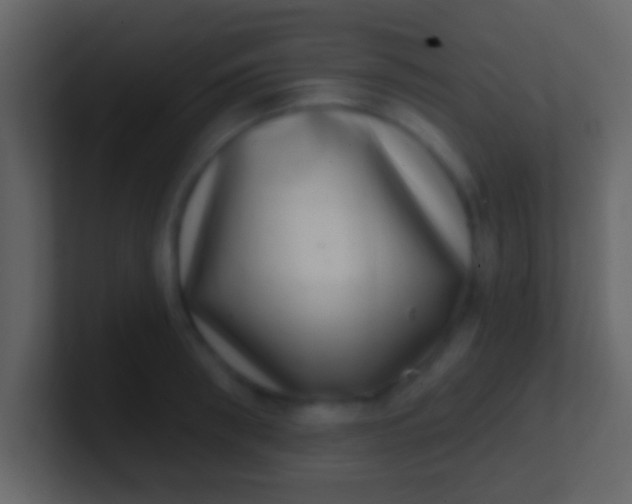 X0000100910898200807081122