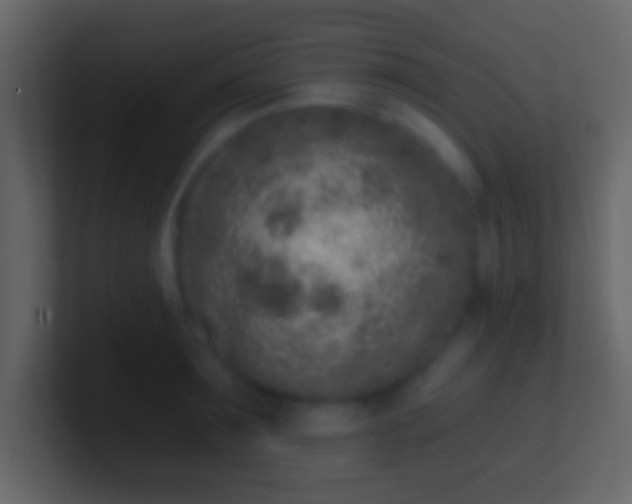 X0000100910899200807081122