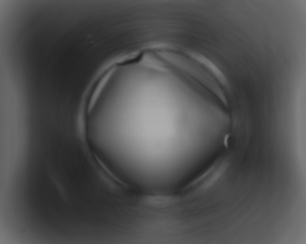 X0000100910902200807081121