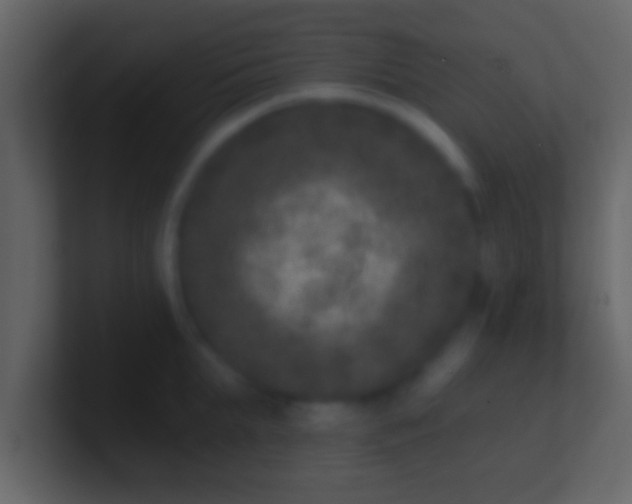 X0000100910903200807081121