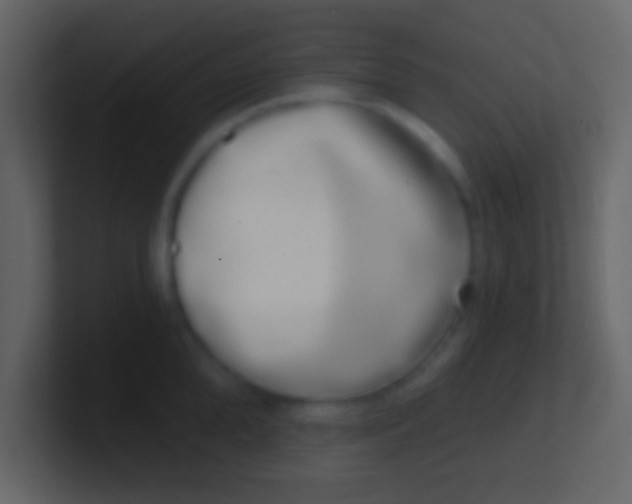 X0000100910904200807081121