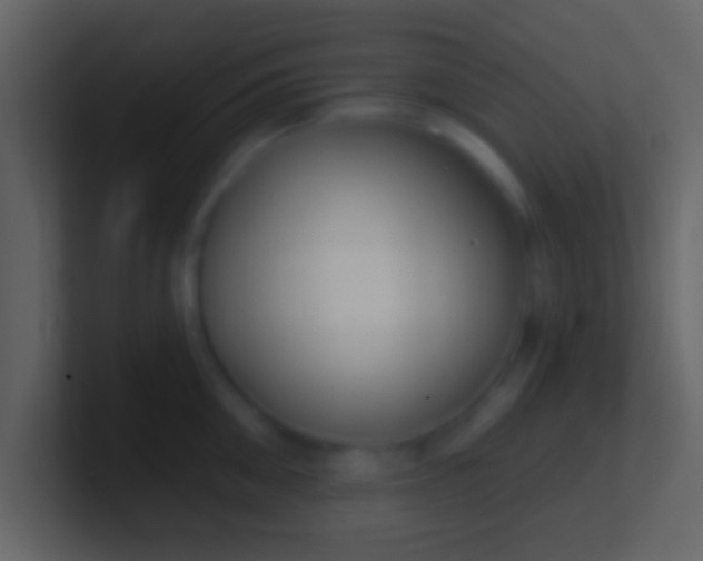X0000100910906200807081121