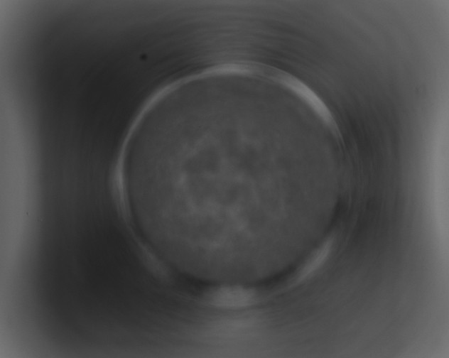 X0000100910907200807081121