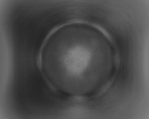 X0000100910911200807081121