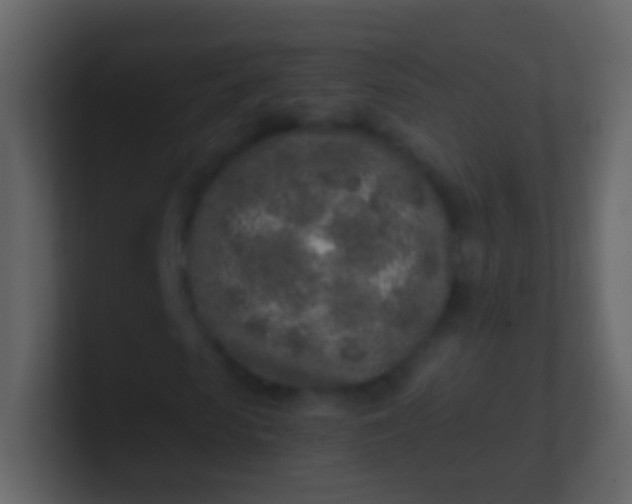 X0000100910913200807081121